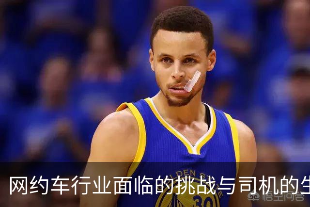 网约车行业面临的挑战与司机的生存现状